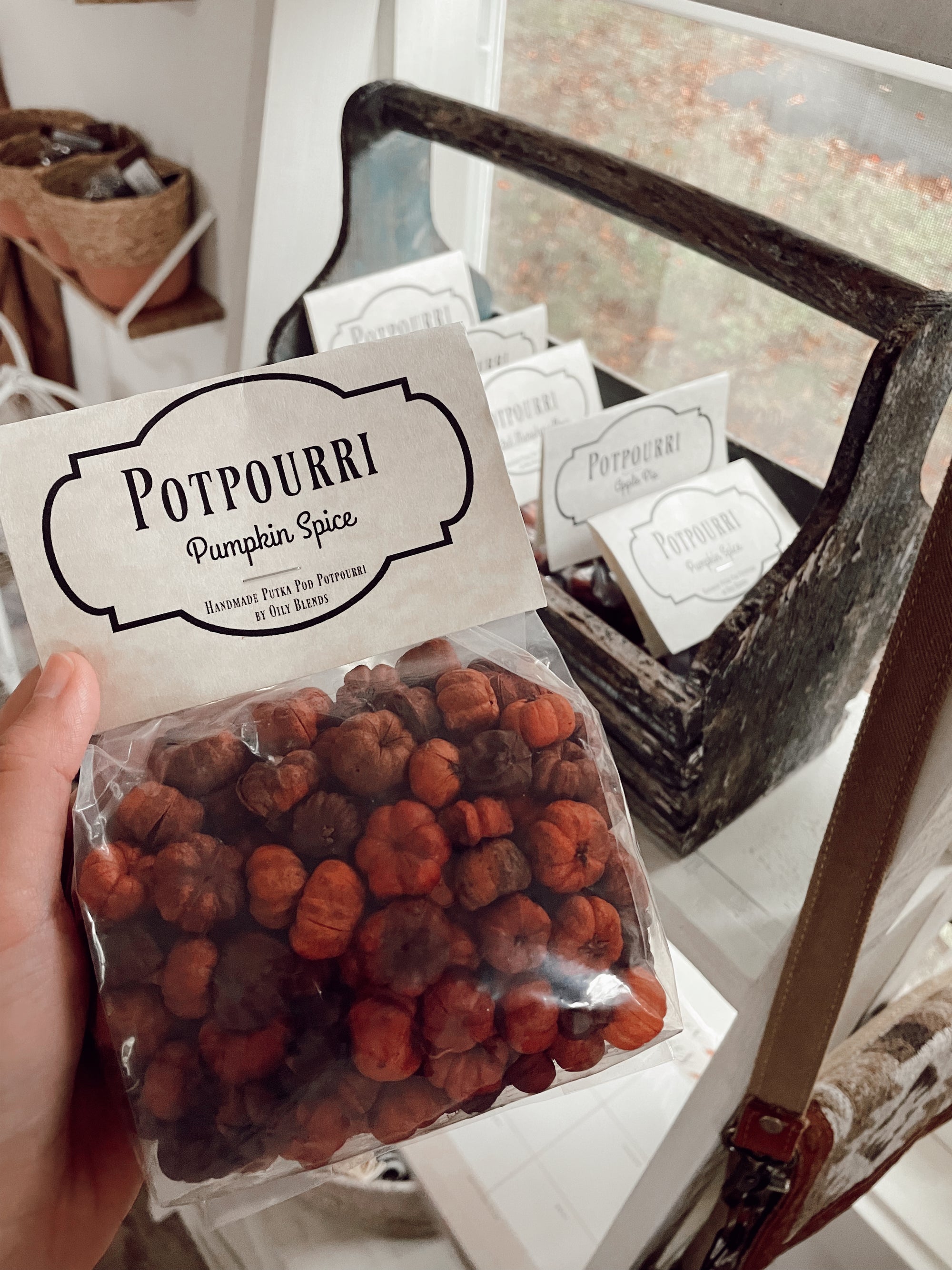 Pumpkin Spice Mini Pumpkin Potpourri