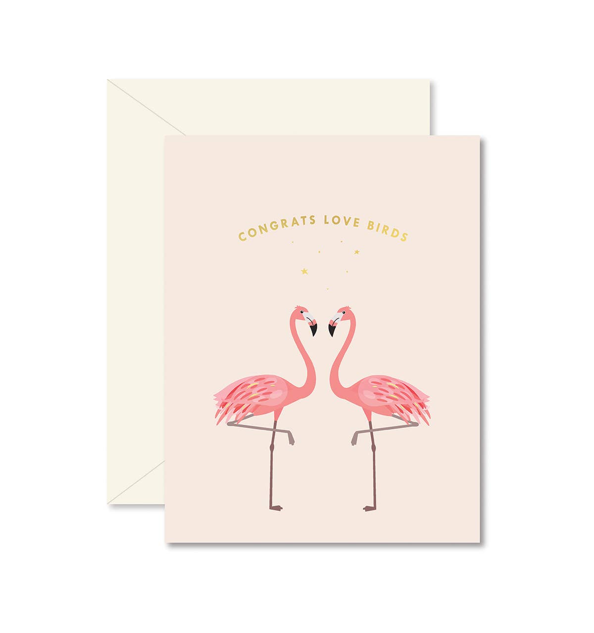 Love Birds Greeting Card